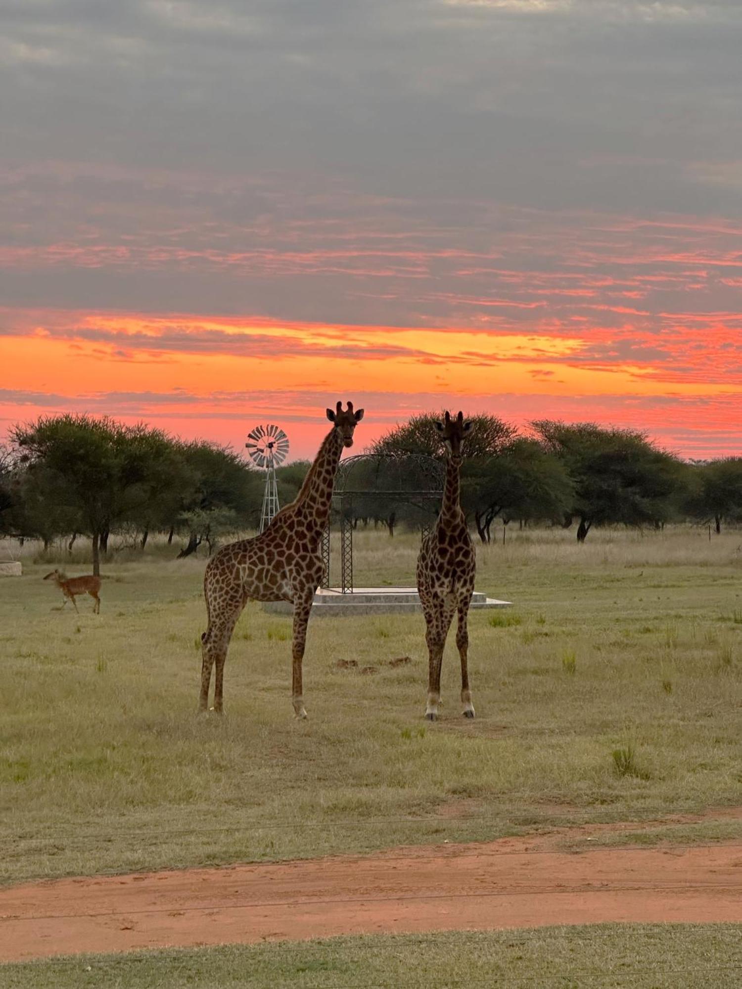 Tula Baba Game Lodge Brits
