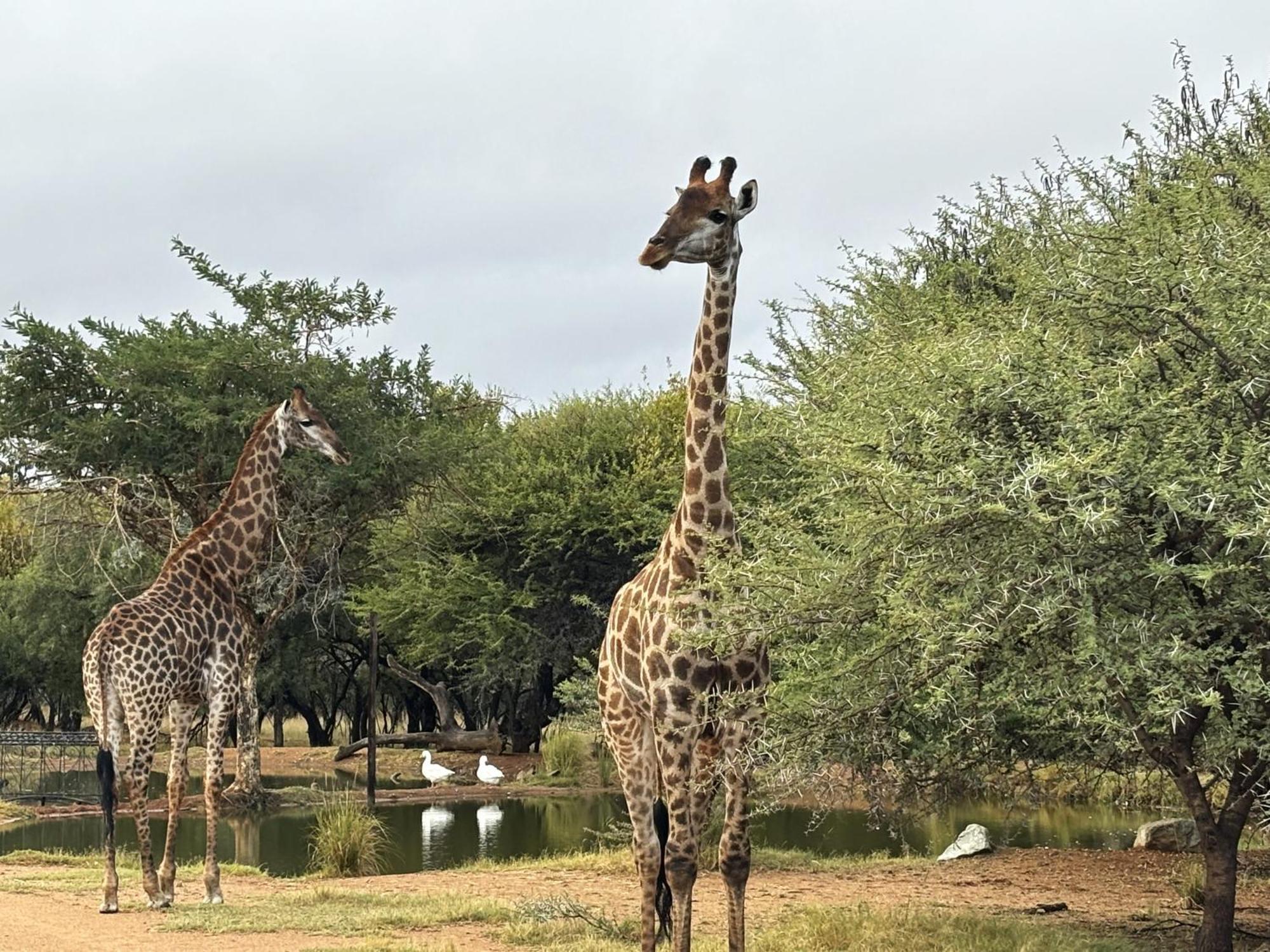 Tula Baba Game Lodge *