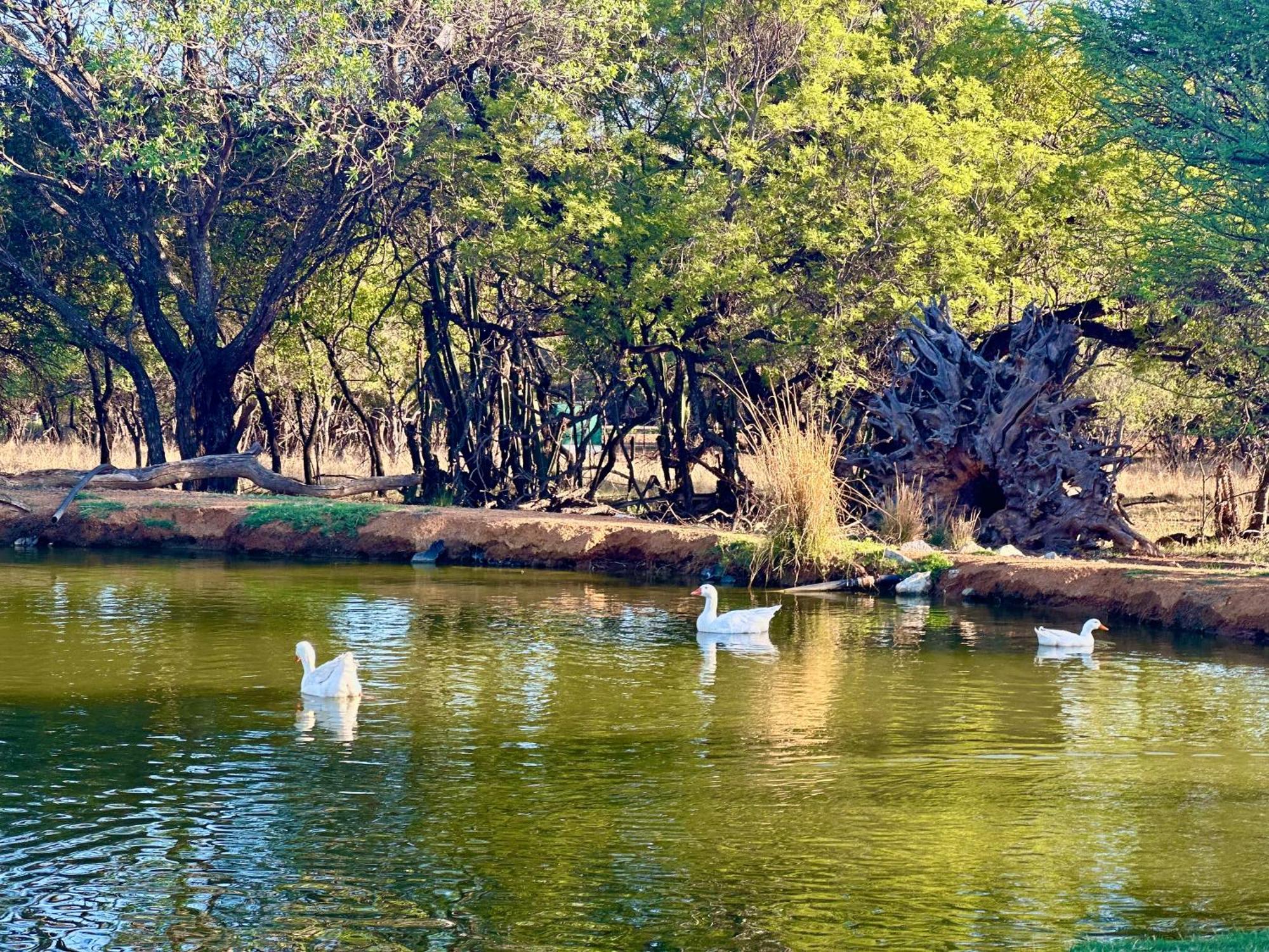 Tula Baba Game Lodge *
